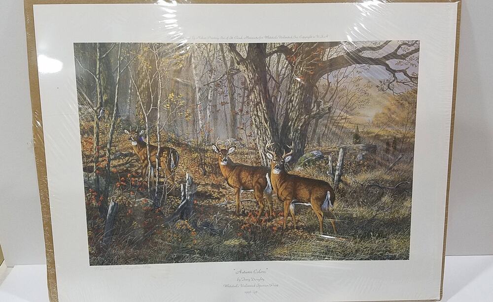 Vintage Autumn Colors by Terry Doughty #13 of 80 - still in original wrap